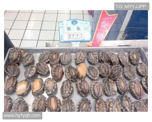 台球运动发展历程与技巧解析:从基础入门到职业比赛的全面探讨