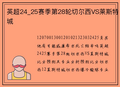 英超24_25赛季第28轮切尔西VS莱斯特城